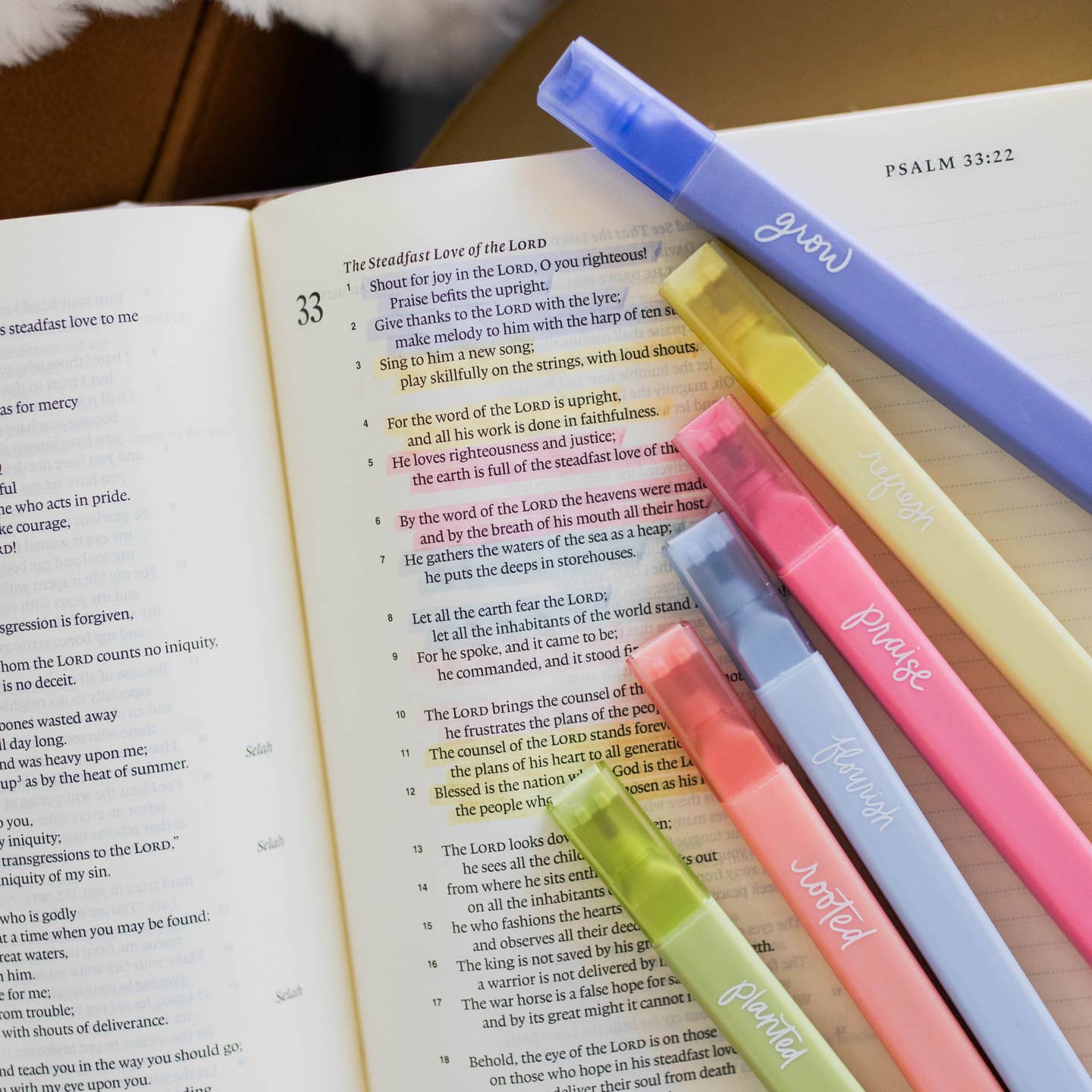 Bright Bible Highlighters