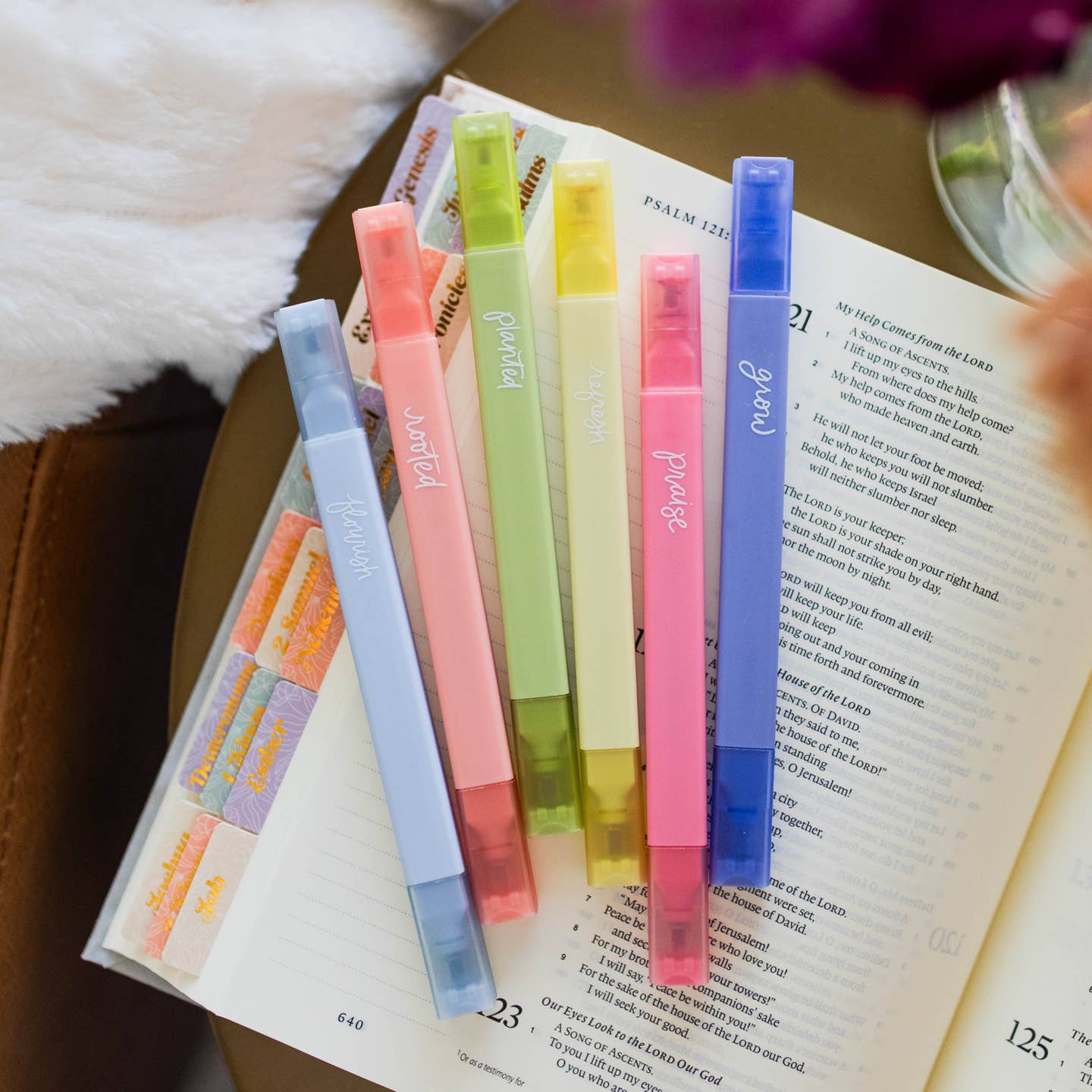 Bright Bible Highlighters