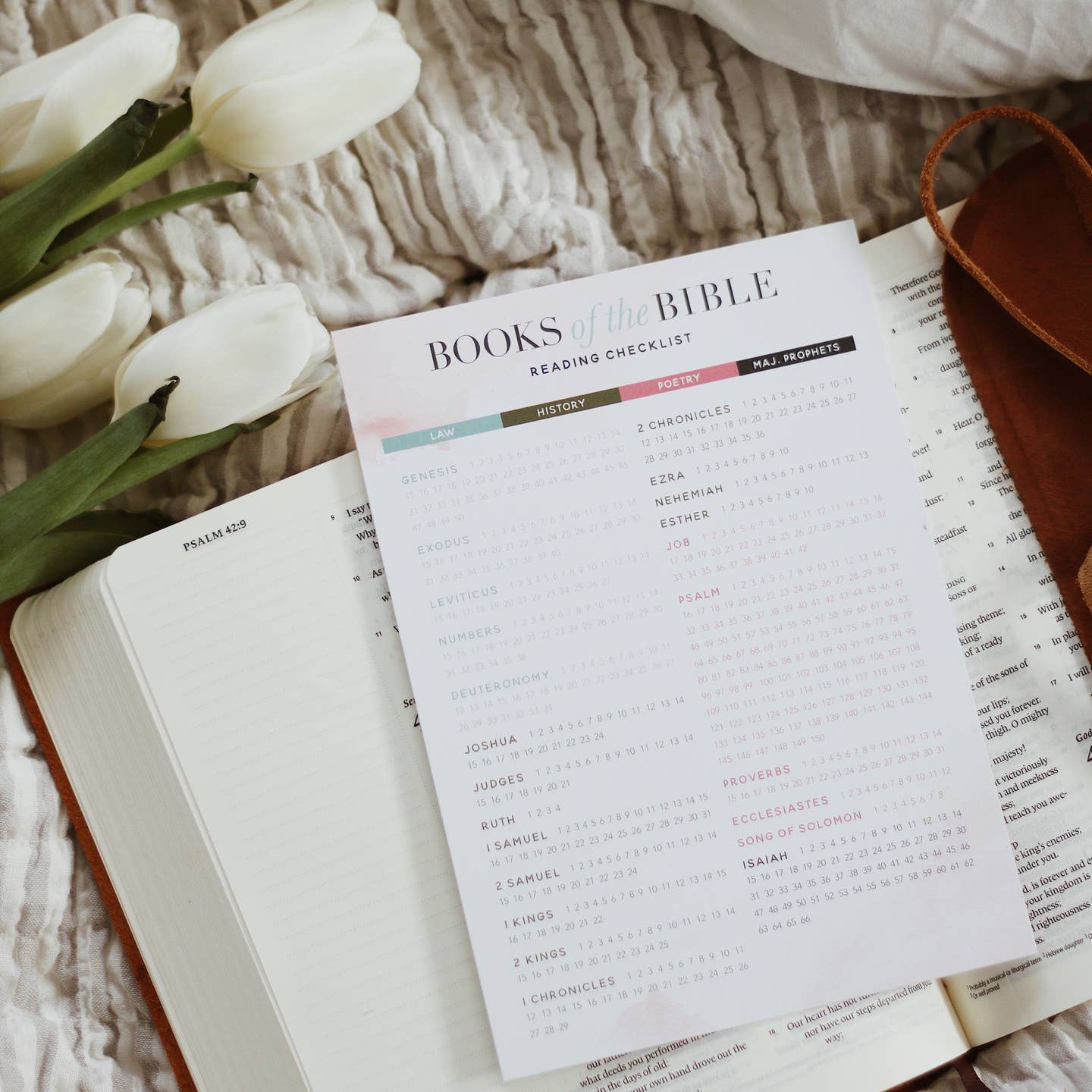Books of the Bible Reading List