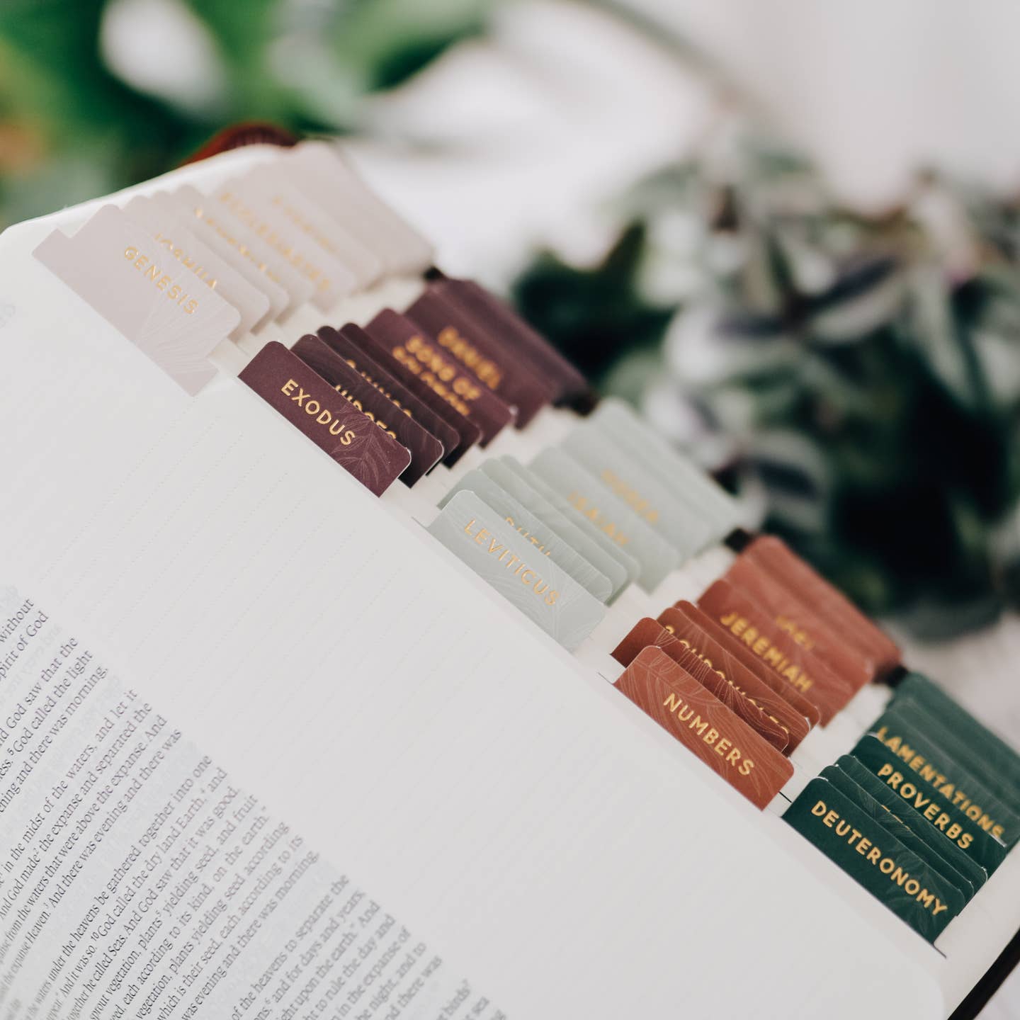 Jewel Tone Bible Tab