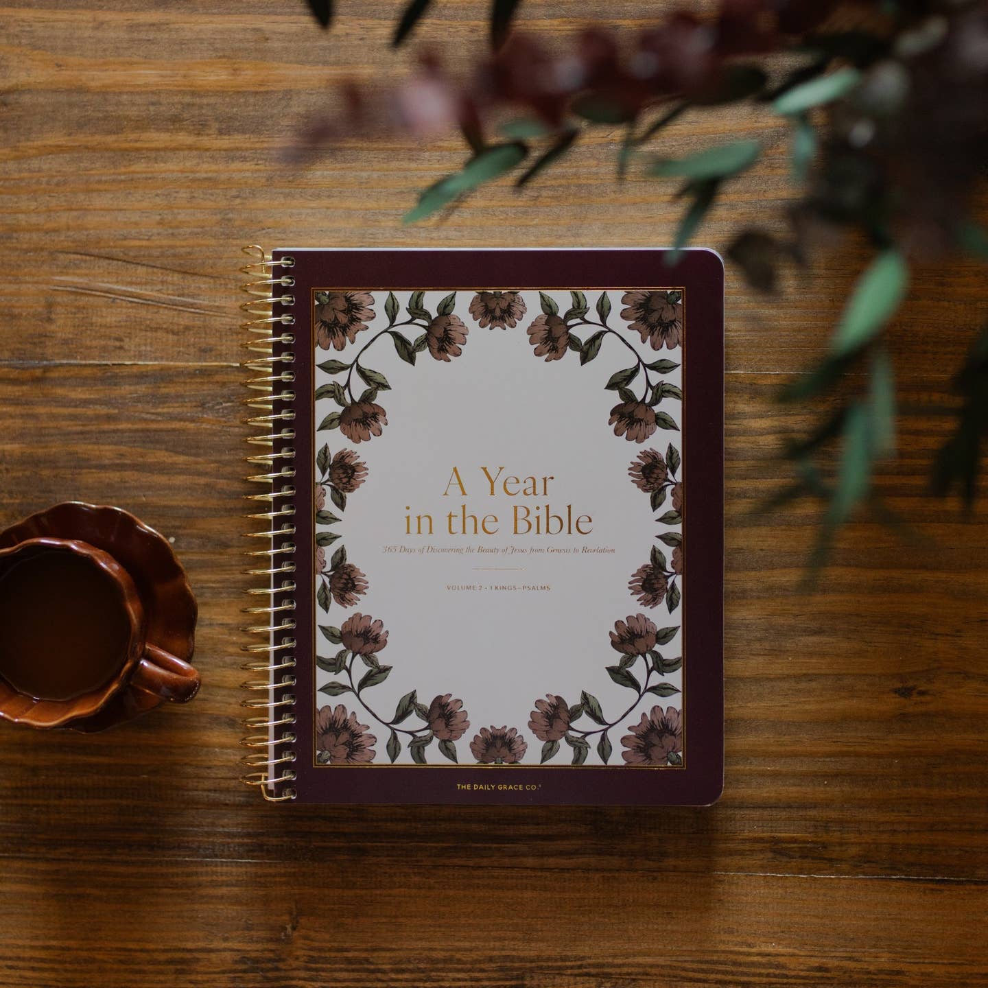A Year in the Bible | 365 Days of Discovering the Beauty of Jesus from Genesis To Revelation | Volume 2