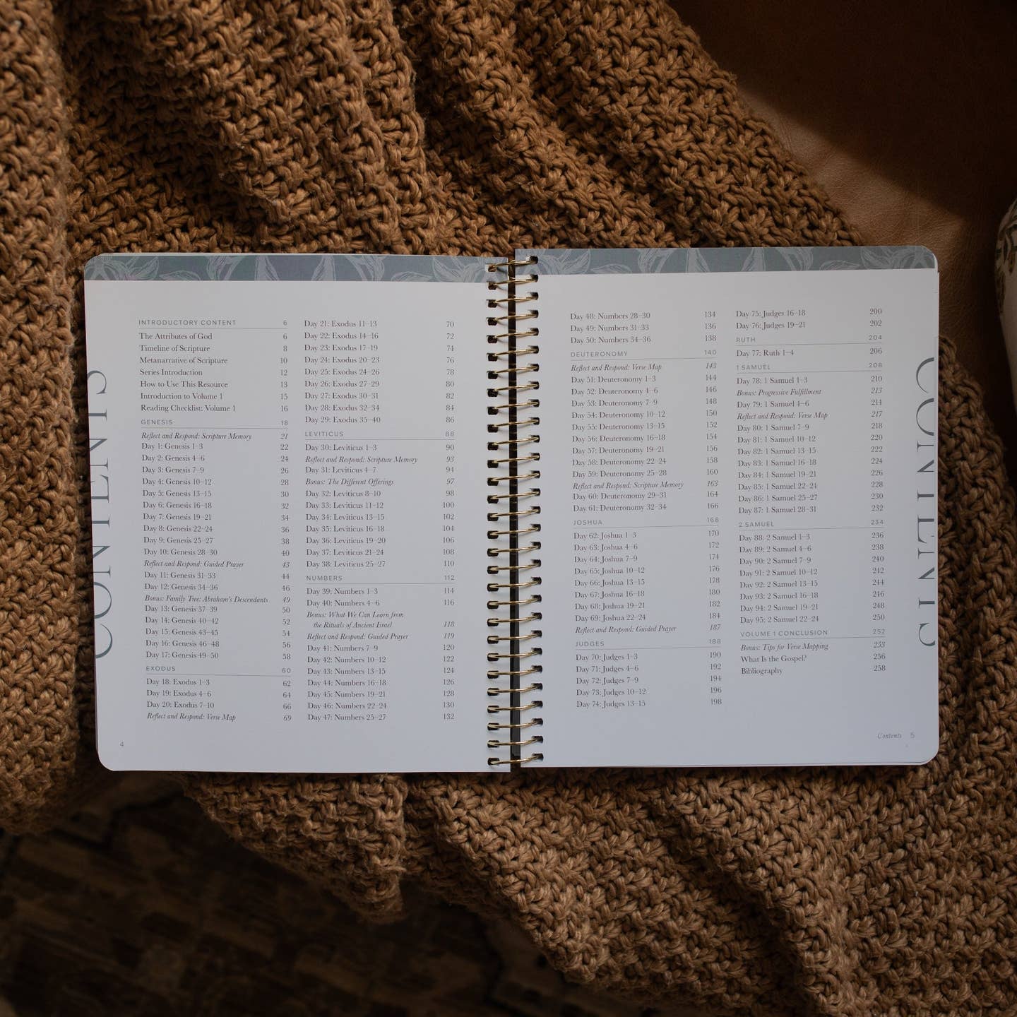 A Year in the Bible | 365 Days of Discovering the Beauty of Jesus from Genesis To Revelation |