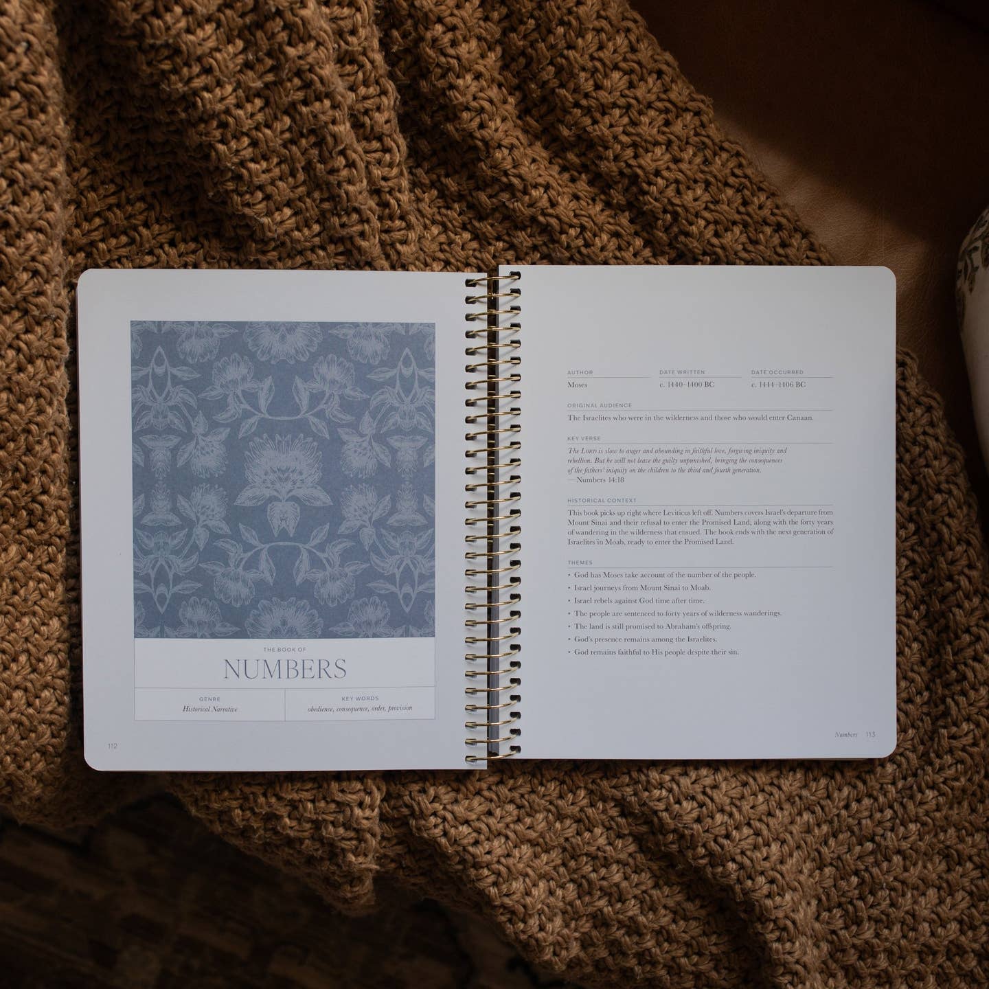 A Year in the Bible | 365 Days of Discovering the Beauty of Jesus from Genesis To Revelation |