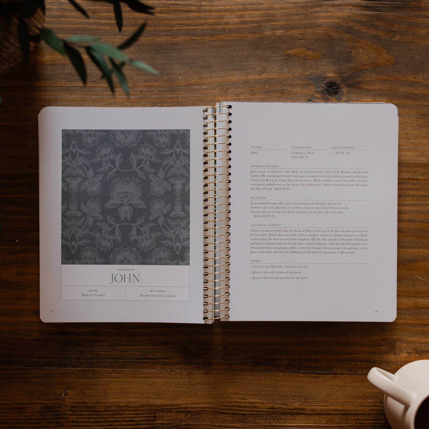 A Year in the Bible | 365 Days of Discovering the Beauty of Jesus from Genesis To Revelation | Volume 4