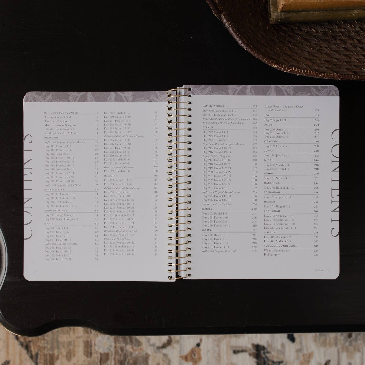 A Year in the Bible | 365 Days of Discovering the Beauty of Jesus from Genesis To Revelation | Volume 3