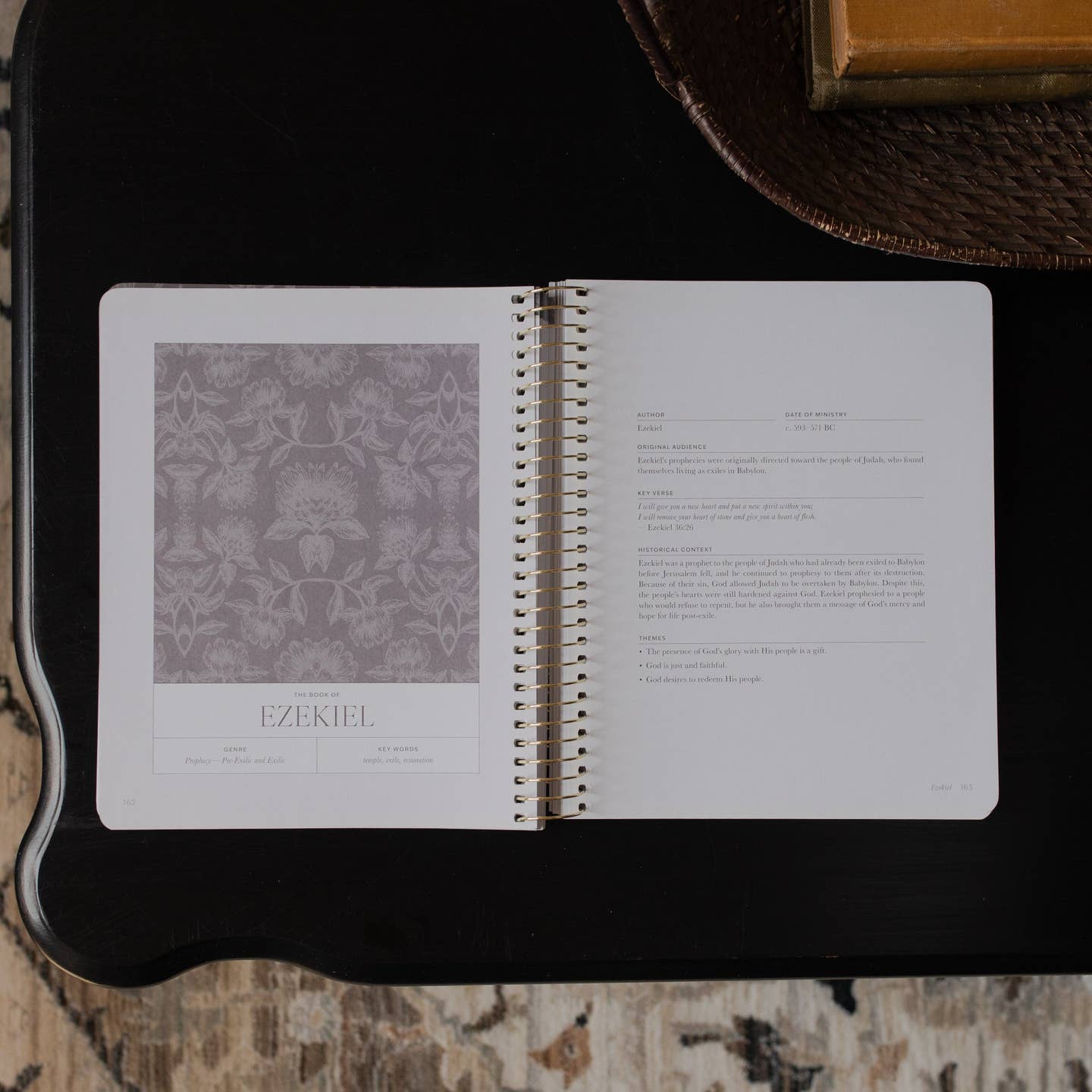 A Year in the Bible | 365 Days of Discovering the Beauty of Jesus from Genesis To Revelation | Volume 3
